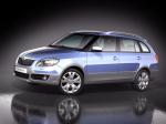 Skoda Fabia Scout 2009 года